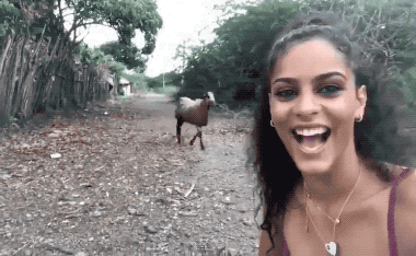 flaming fiascos collection of hot fails 26 gifs 1.html - 1 HD GIF | Premium Gallery 2024