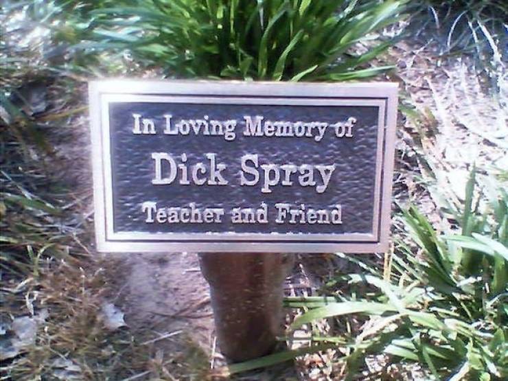 unbelievably real names cursed or blessed 41 pics 18.html - 41 HD Photos | Premium Gallery 2024