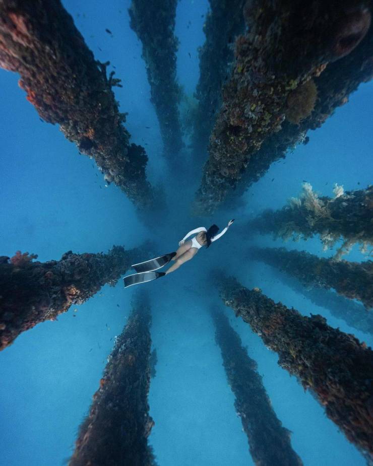 grownup corner 38 pics 9.html - 38 HD Photos | Premium Gallery 2024