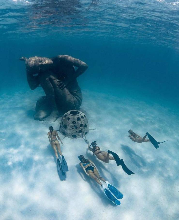 grownup corner 38 pics 9.html - 38 HD Photos | Premium Gallery 2024