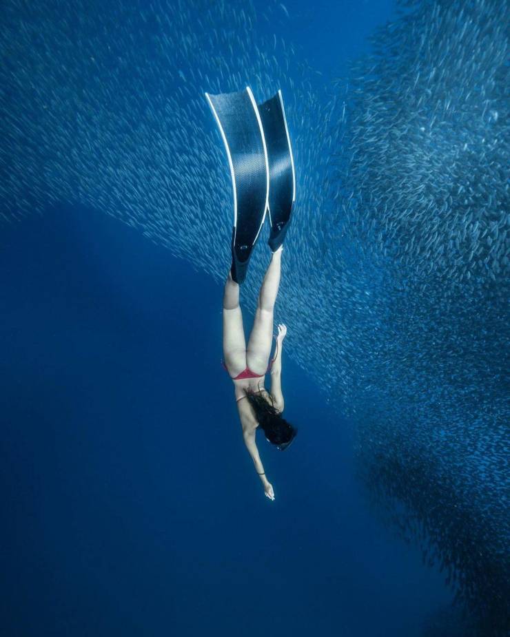 grownup corner 38 pics 9.html - 38 HD Photos | Premium Gallery 2024