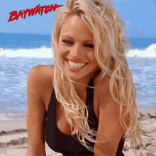 pamela anderson icon of glamour 17 gifs 5.html - 1 HD GIF | Premium Gallery 2024