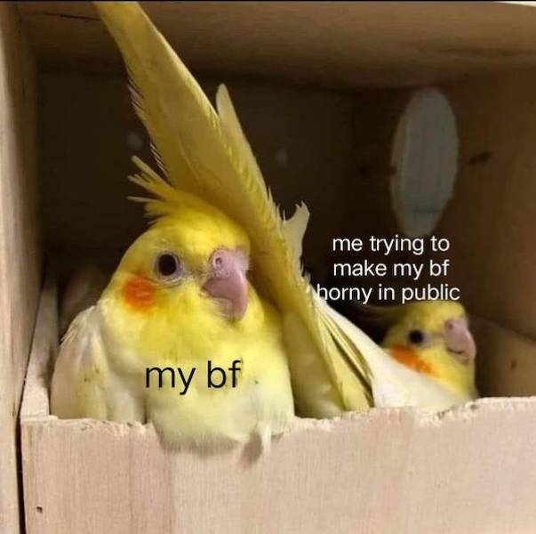 flirty memes to send your better half 34 pics 2.html - 34 HD Photos | Premium Gallery 2024