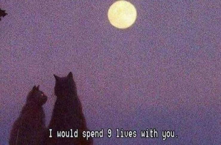 flirty memes to send your better half 34 pics 2.html - 34 HD Photos | Premium Gallery 2024