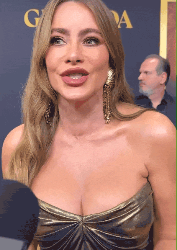 sofia vergara beauty and charisma 30 gifs 2.html - 1 HD GIF | Premium Gallery 2024