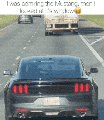 dirty minds only 27 gifs 1.html - 1 HD GIF | Premium Gallery 2024