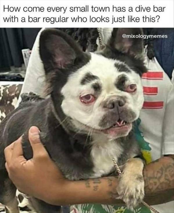 dirty minds only 32 pics 2 gifs 1.html - 32 HD GIF | Premium Gallery 2024