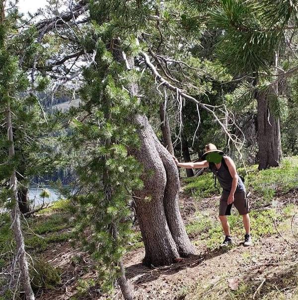 dirty minds only 32 pics 2 gifs 1.html - 32 HD GIF | Premium Gallery 2024