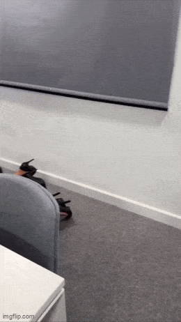 hot girls are here for you 31 gifs 2.html - 1 HD GIF | Premium Gallery 2024