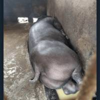 morning picdump 57 pics 5.html - 57 HD Photos | Premium Gallery 2013