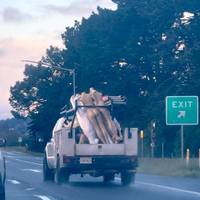 its lingerie time 36 pics 18.html - 36 HD Photos | Premium Gallery 2023