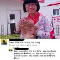 morning picdump 50 pics.html - 50 HD Photos | Premium Gallery 2016