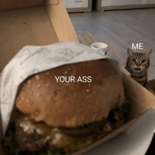 nsfw memes to add some spice to your life 32 pics 3.html - 32 HD Photos | Premium Gallery 2024