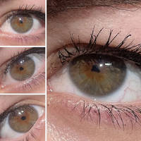 braless girls let their boobs hang free 56 pics 2.html - 56 HD Photos | Premium Gallery 2019