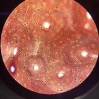 beautiful summer loving bikini girls 52 pics 16.html - 52 HD Photos | Premium Gallery 2023