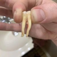 arent they a bit too tall 50 pics 14.html - 50 HD Photos | Premium Gallery 2012