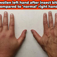 sundresses are always sexy 27 pics 20.html - 27 HD Photos | Premium Gallery 2025