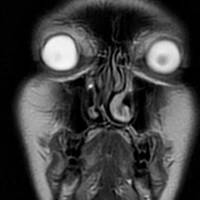 the hottest bikini babes of the 2015 hooters 98 pics 39.html - 98 HD Photos | Premium Gallery 2015