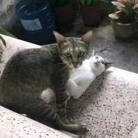 morning picdump 58 pics 44.html - 58 HD Photos | Premium Gallery 2014