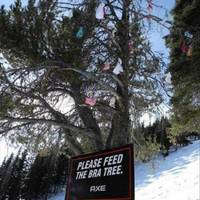 morning sports video.html - 1 HD Video | Premium Gallery 2022