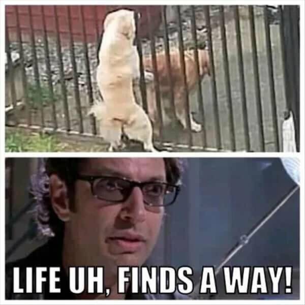 Dirty Minds Are Welcome!