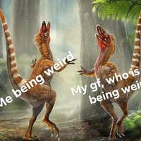 morning picdump 49 pics 23.html - 49 HD Photos | Premium Gallery 2017