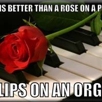 garbages everywhere in naples 13 pics 8.html - 13 HD Photos | Premium Gallery 2011