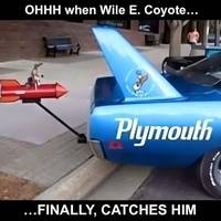 these black beauties are a real eye candy 43 pics 35.html - 43 HD Photos | Premium Gallery 2016