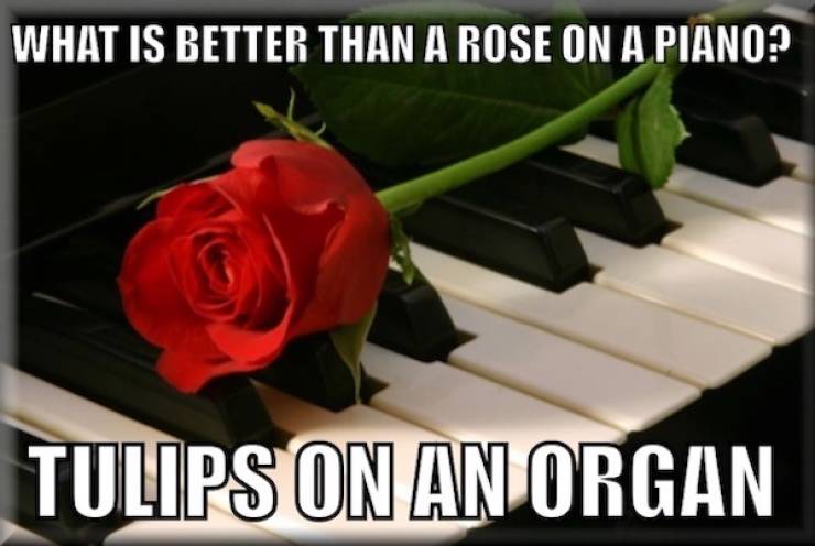 hilarious pg13 memes for all ages 38 pics 17.html - 38 HD Photos | Premium Gallery 2024