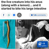 boobs boobs for everyone 47 pics.html - 47 HD Photos | Premium Gallery 2025