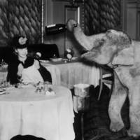 boobs like these are gods gift to men 46 pics 19.html - 46 HD GIF | Premium Gallery 2025