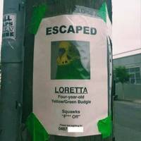 morning picdump 50 pics.html - 50 HD Photos | Premium Gallery 2017