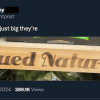 daily picdump weekend edition 74 pics 8.html - 74 HD Photos | Premium Gallery 2017