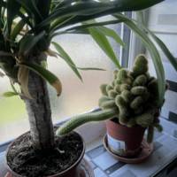 we dont mind if you go braless 55 pics 4.html - 55 HD Photos | Premium Gallery 2015