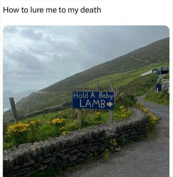 dirty minds are welcome 29 pics 2 gifs 14.html - 29 HD GIF | Premium Gallery 2024