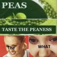 the busty waitrons of twin peaks restaurants 42 pics 8.html - 42 HD Photos | Premium Gallery 2013