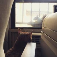 daily picdump 104 pics 29.html - 104 HD Photos | Premium Gallery 2018