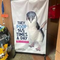 girls with beautiful tits are a mouthwatering sight 66 pics 42.html - 66 HD Photos | Premium Gallery 2017