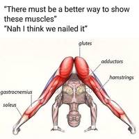 run aquagirl run video.html - 1 HD Video | Premium Gallery 2019