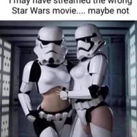 funny gif collection 5 gifs 20.html - 1 HD GIF | Premium Gallery 2010