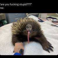 morning picdump 52 pics 20.html - 52 HD Photos | Premium Gallery 2012