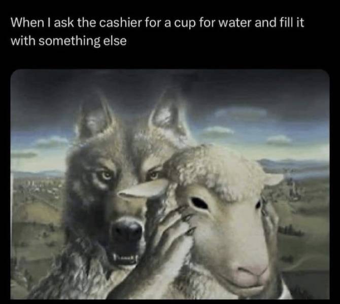 pg13 memes with rrated vibes 43 pics 3.html - 43 HD Photos | Premium Gallery 2024