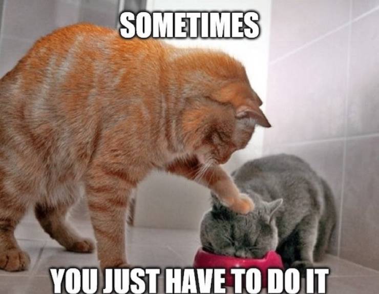 pg13 memes with rrated vibes 43 pics 3.html - 43 HD Photos | Premium Gallery 2024