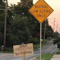 dirty mind come here 47 pics 1.html - 47 HD Photos | Premium Gallery 2020