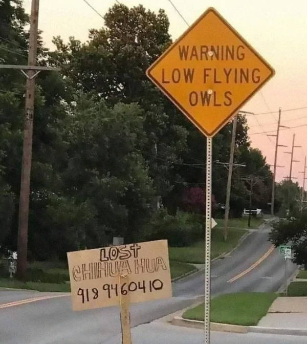 just hold up 36 pics 14.html - 36 HD Photos | Premium Gallery 2024