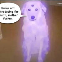 grownup corner 48 pics 16 gifs 12.html - 48 HD GIF | Premium Gallery 2015