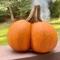 grownup corner 56 pics 6 gifs 21.html - 56 HD GIF | Premium Gallery 2016