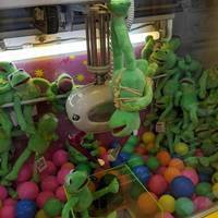 hardhitting photos that capture incredible moments 59 pics 49.html - 59 HD Photos | Premium Gallery 2014