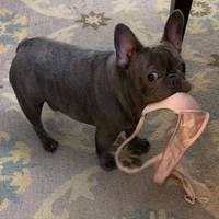 daily picdump 98 pics 31.html - 98 HD Photos | Premium Gallery 2011