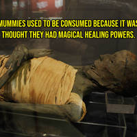 daily picdump 99 pics.html - 99 HD Photos | Premium Gallery 2017